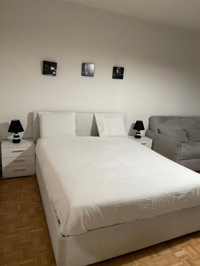 Cosy Apartment - Geneva Centre Екстер'єр фото